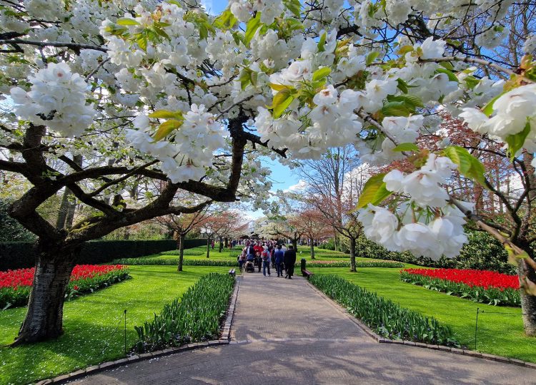 Opening Keukenhof 2024
