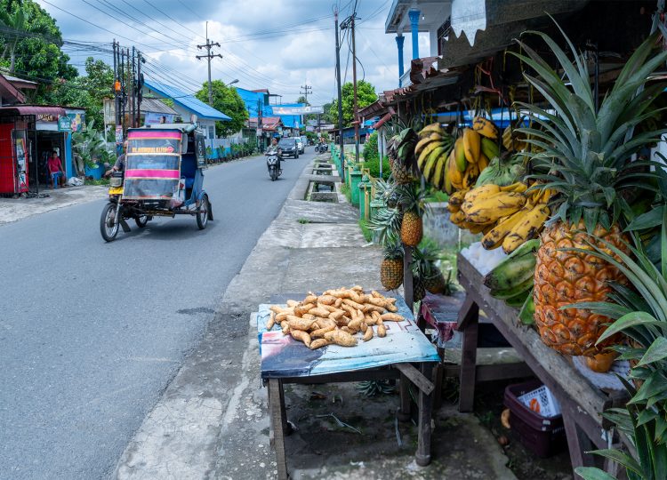 Medan Indonesia Sumatra | Roelof Foppen